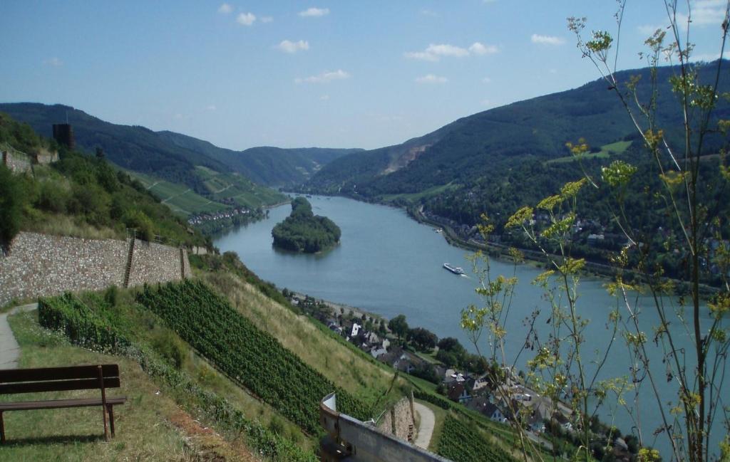 Weingut Theodor Nies Apartment Lorch am Rhein Exterior photo